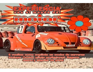 Experiencia con el mundo...