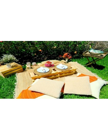 Disfruta de un Picnic mágico en casa